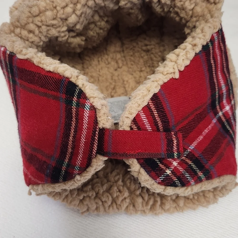 Carter's Red Plaid Trapper Hat